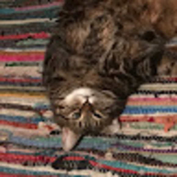 Meet your Posher, Wanda - Picture 1 of 1